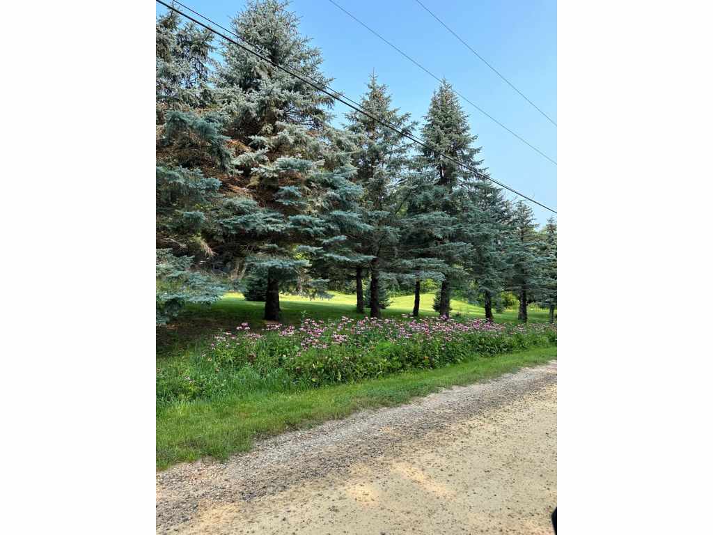 Property Photo 94