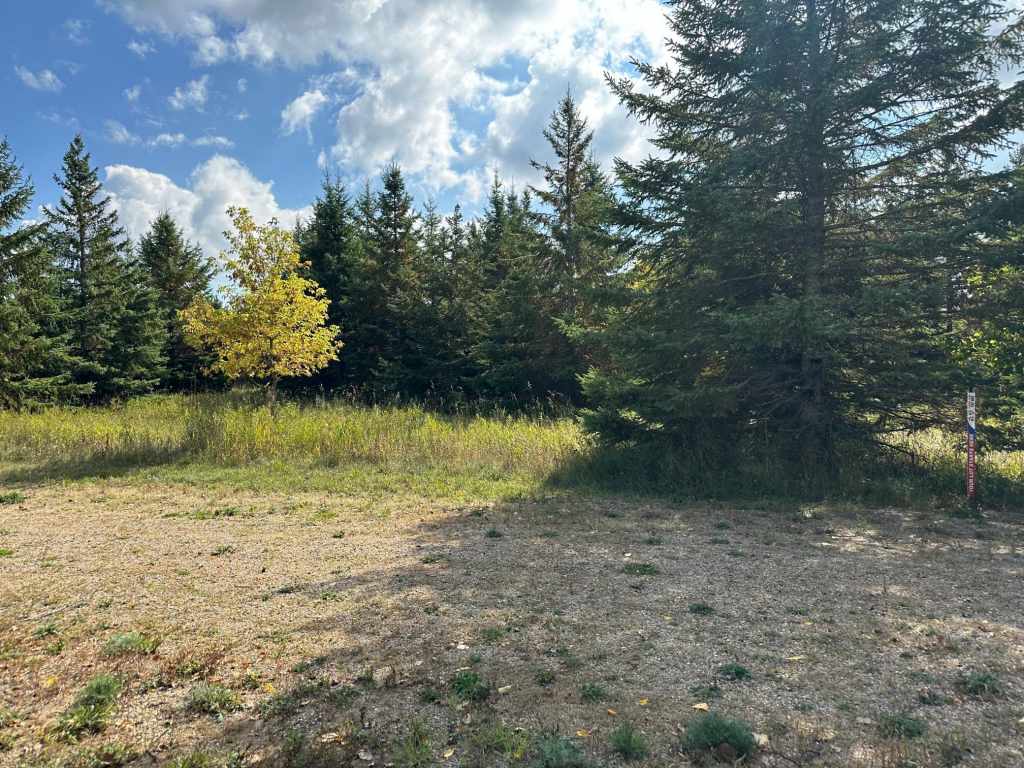 Main Property Photo