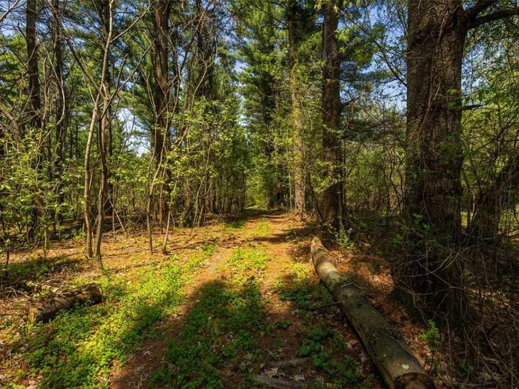 Property Photo 43