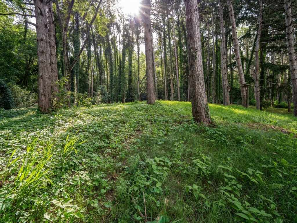 Property Photo 55