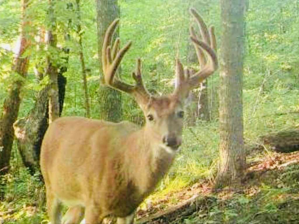 Main Property Photo