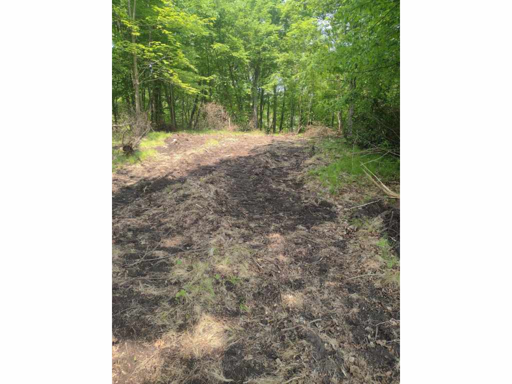 Main Property Photo