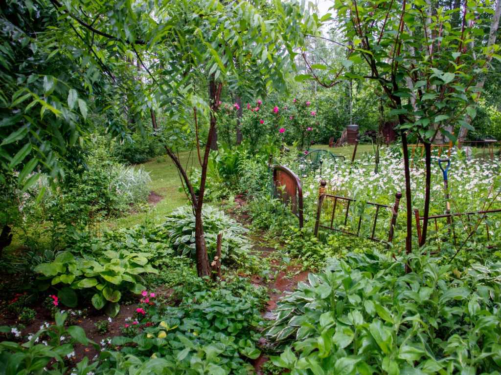 Property Photo 34