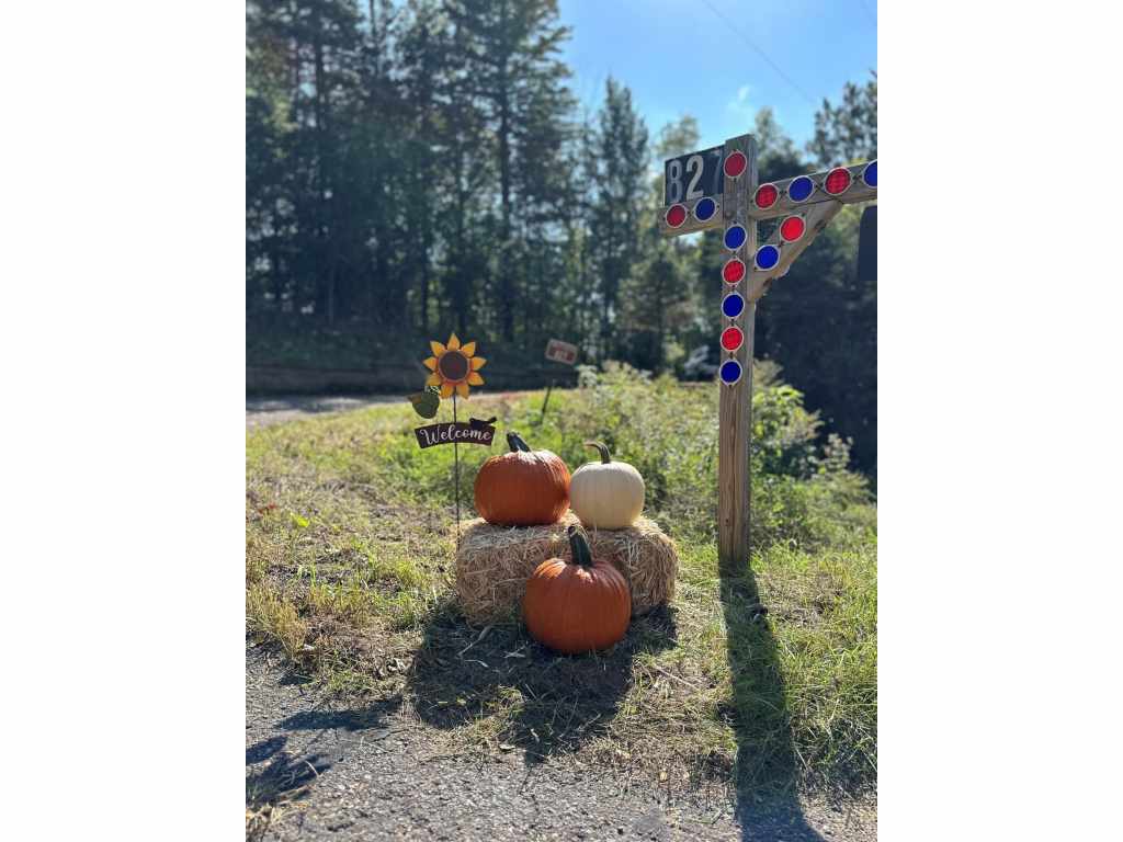 Main Property Photo