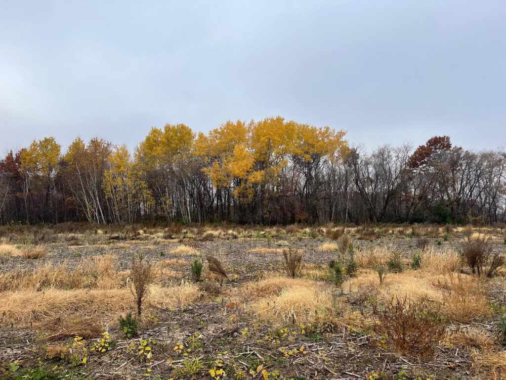 Main Property Photo
