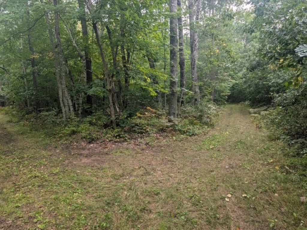 Main Property Photo