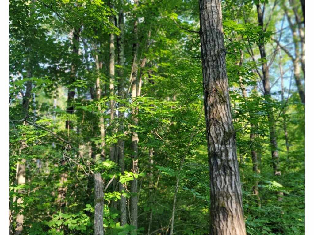 Main Property Photo