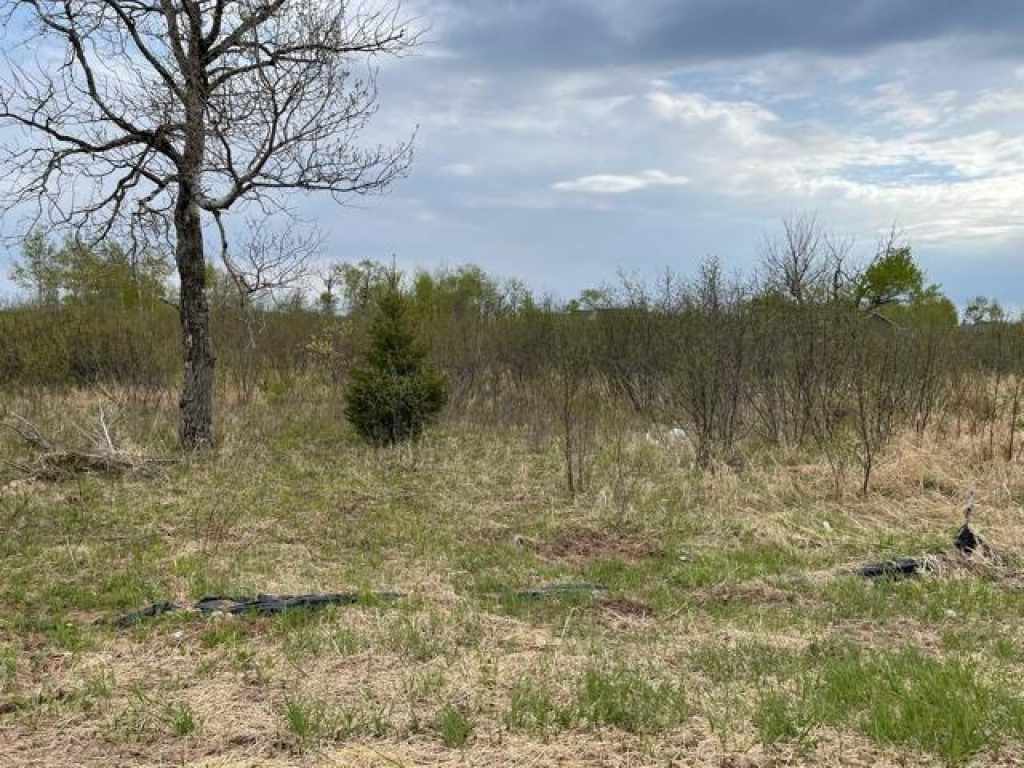 Main Property Photo