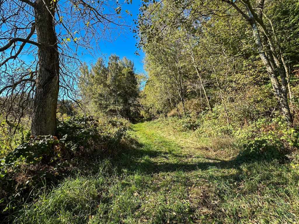 Property Photo 34