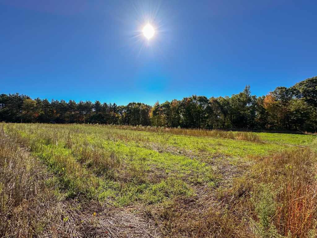 Property Photo 43