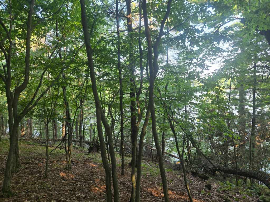 Main Property Photo