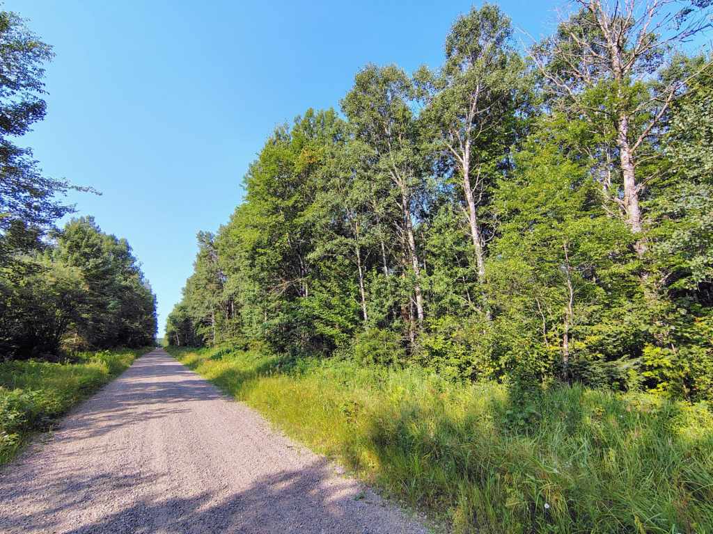 Main Property Photo