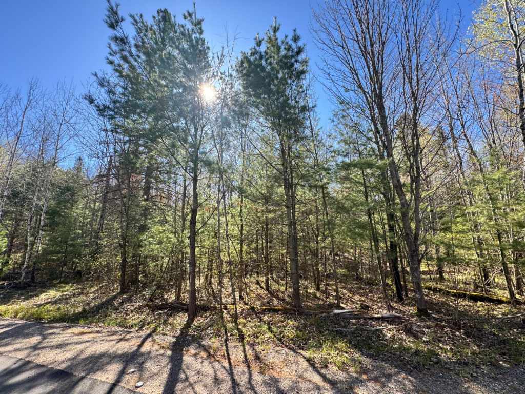 Main Property Photo