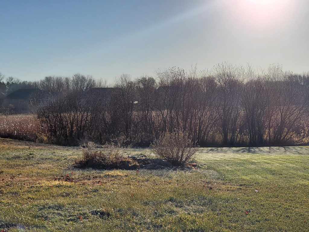 Main Property Photo