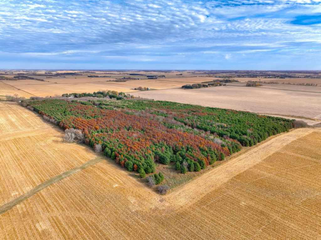Main Property Photo