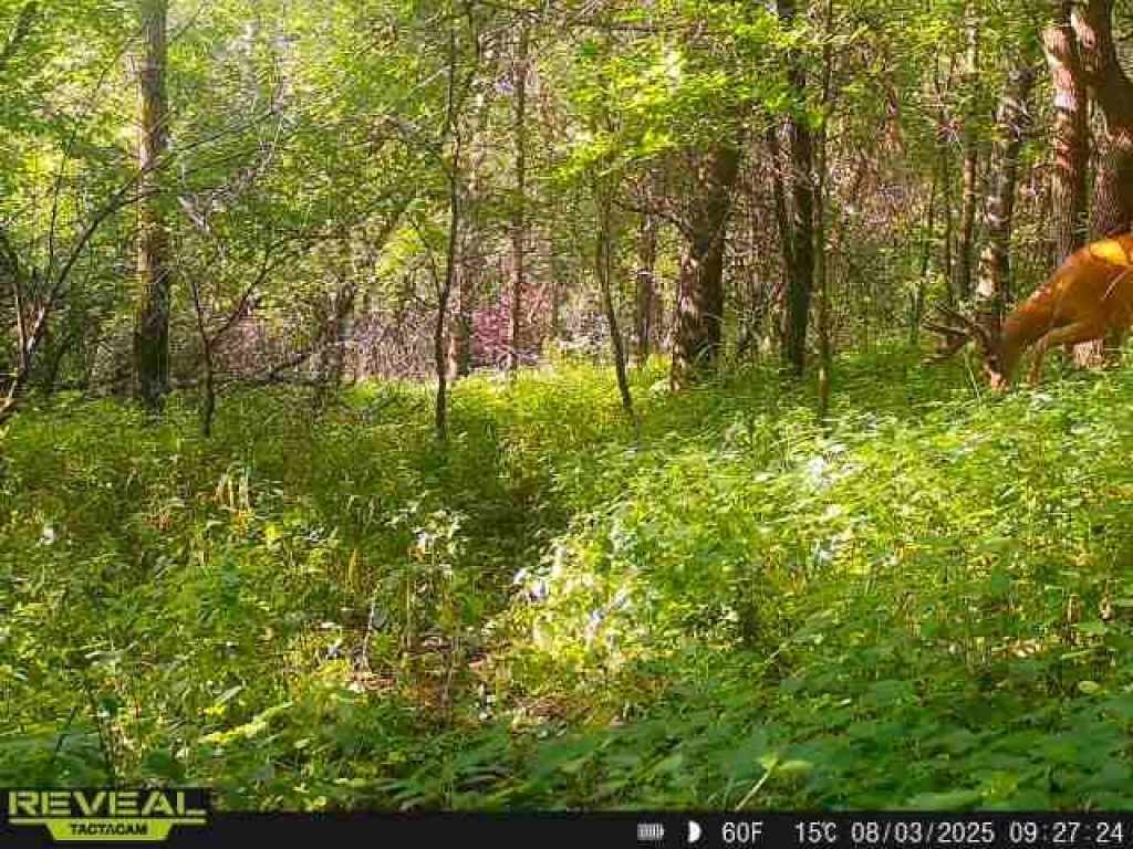 Property Photo 49