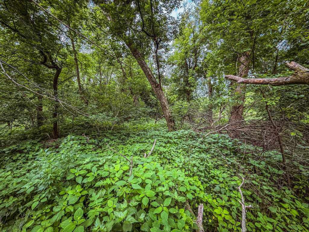 Property Photo 22