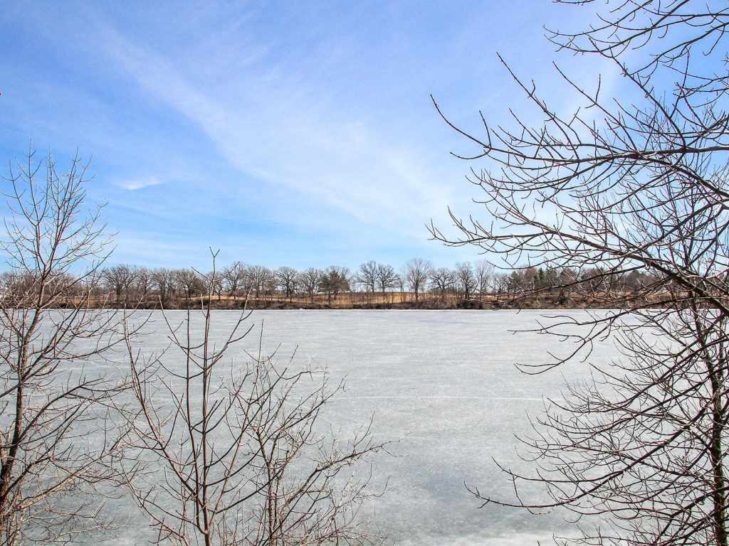 Main Property Photo