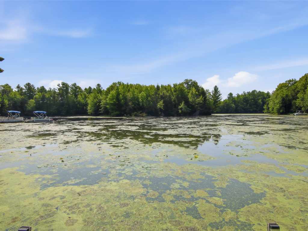 Property Photo 46