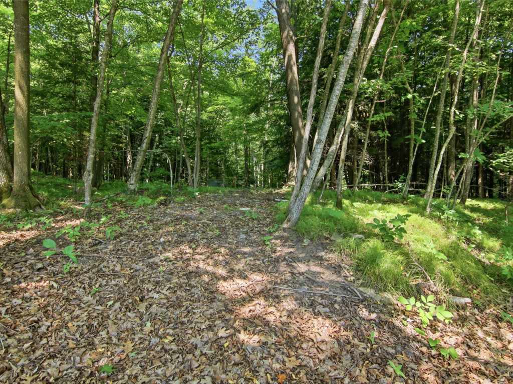 Property Photo 58