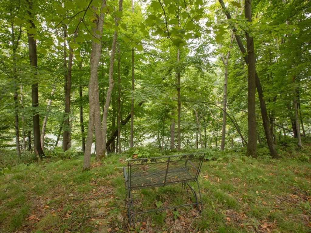 Property Photo 52