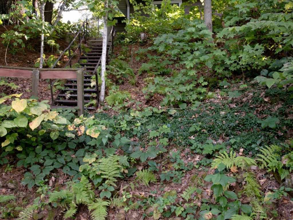 Property Photo 52