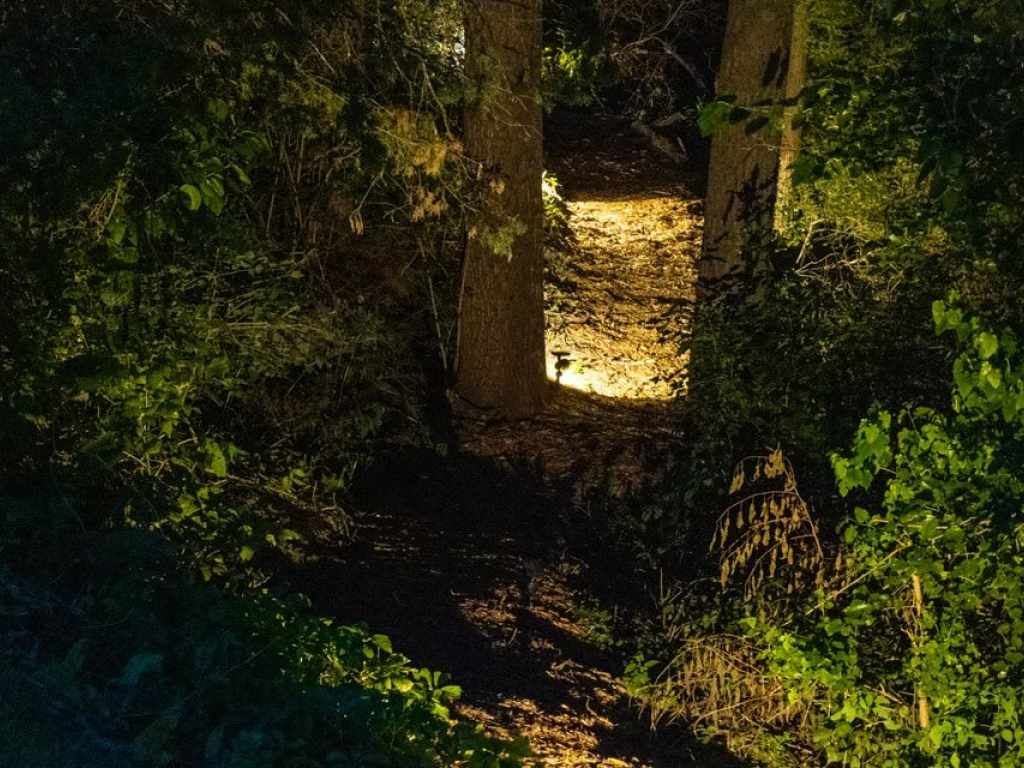 Property Photo 58