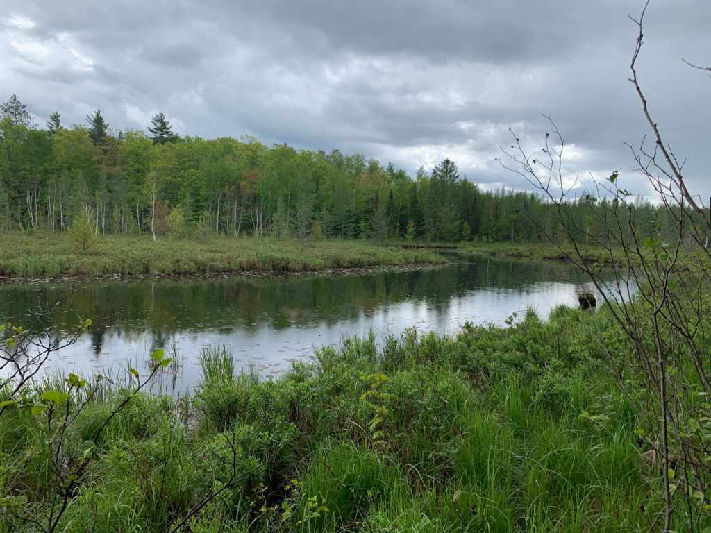 Main Property Photo