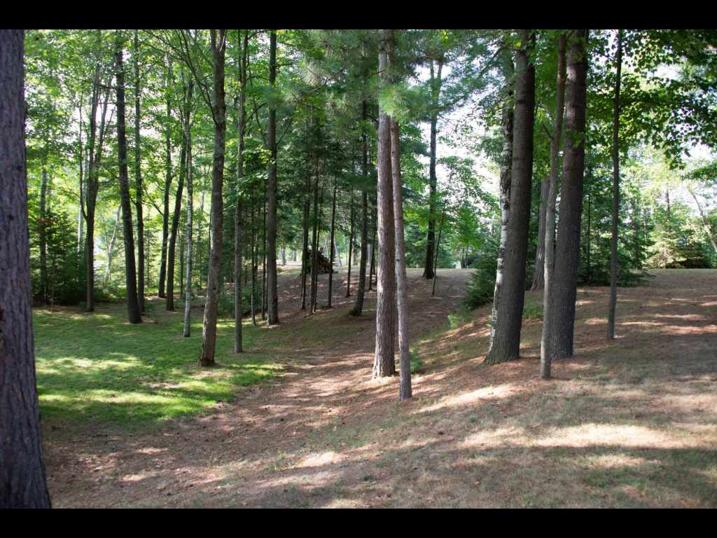 Property Photo 61