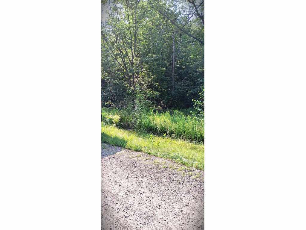 Main Property Photo