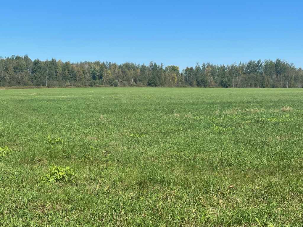 Main Property Photo