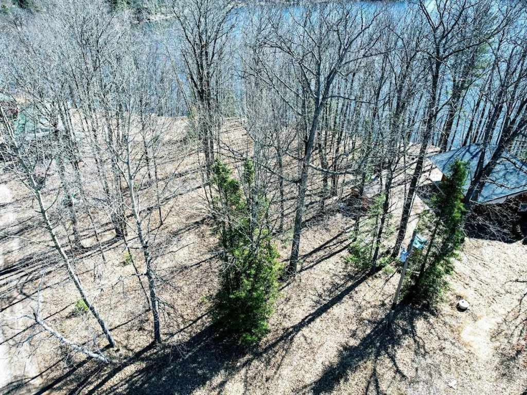 Main Property Photo