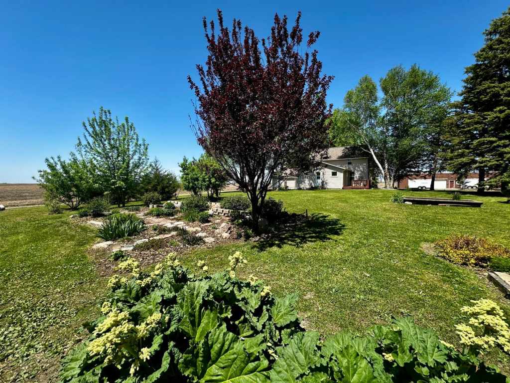 Property Photo 43