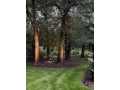 Eau Claire Residential Real Estate