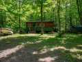 Bruce Residential Real Estate