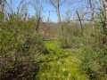 Ojibwa Land Real Estate