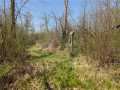 Ojibwa Land Real Estate