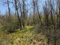 Ojibwa Land Real Estate