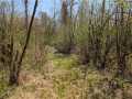 Ojibwa Land Real Estate