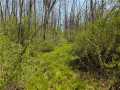 Ojibwa Land Real Estate