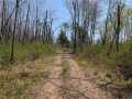 Ojibwa Land Real Estate
