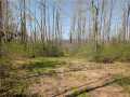 Ojibwa Land Real Estate