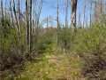 Ojibwa Land Real Estate