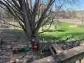 Colfax Residential Real Estate