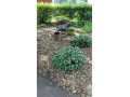 Chippewa Falls Residential Real Estate