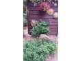 Chippewa Falls Residential Real Estate