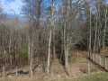 Spooner Residential Real Estate