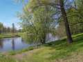 Cadott Residential Real Estate