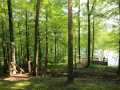 Cumberland Residential Real Estate