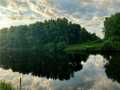 Holcombe Land Real Estate